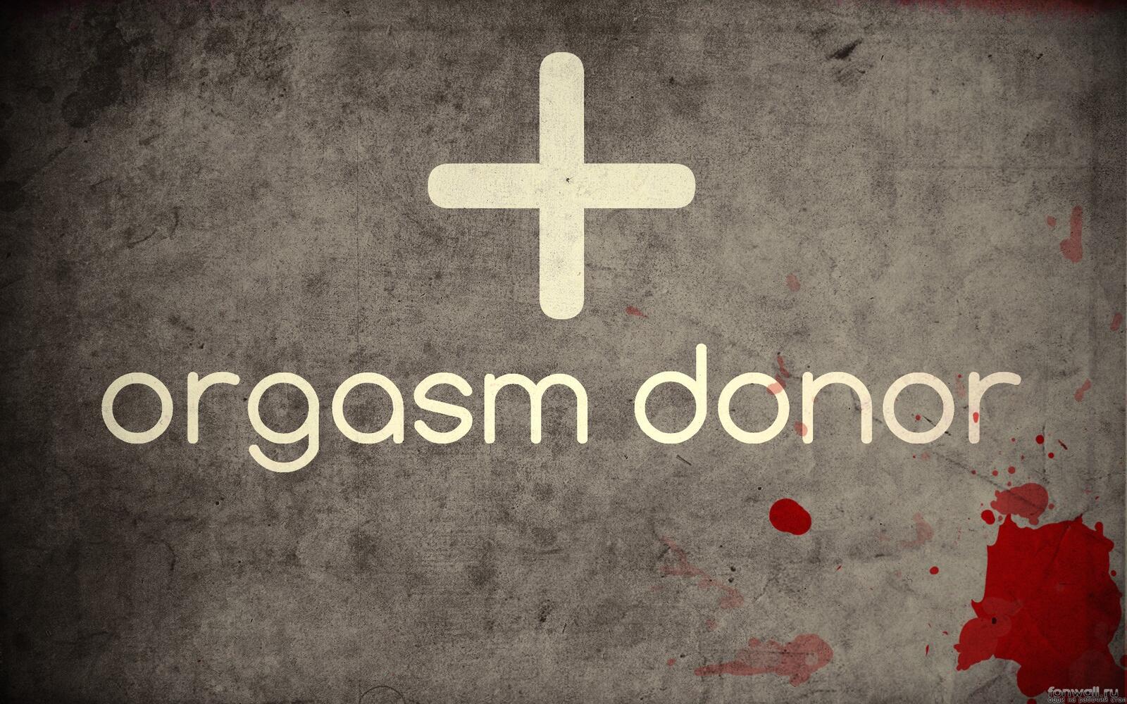 Обои крест крестик orgasm donor на рабочий стол
