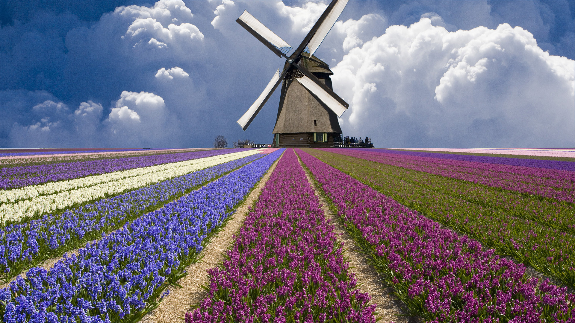 Wallpapers mill clouds netherlands on the desktop