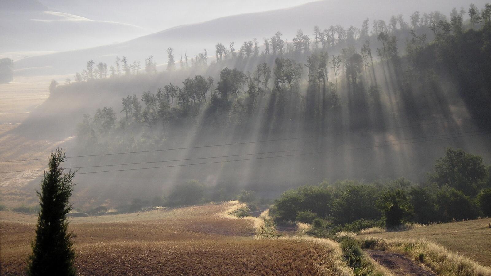 Wallpapers hills fog rays on the desktop