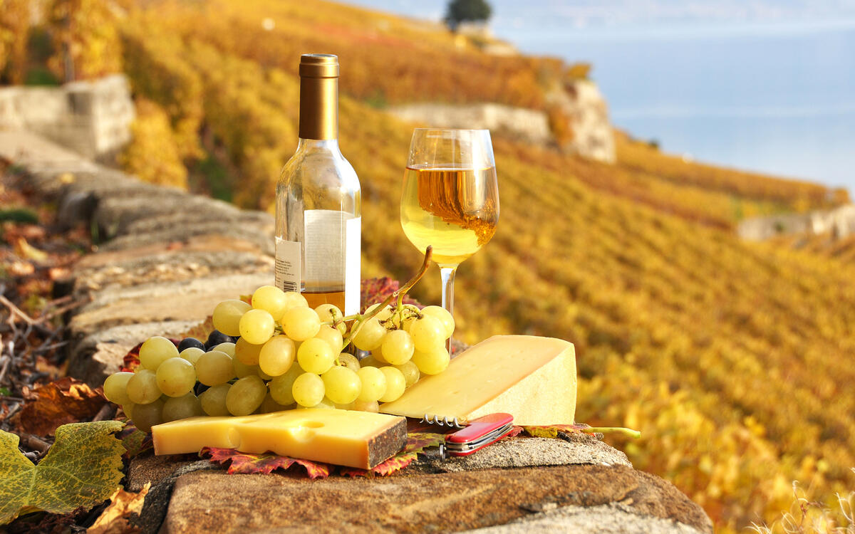 Вино с сырными дольками и бокалами вина
