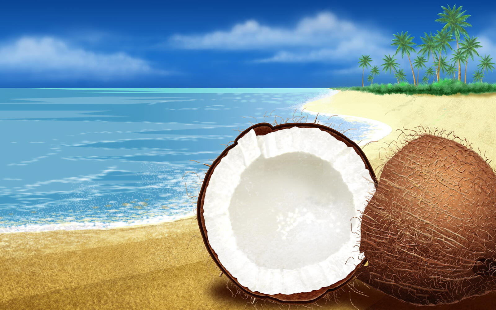 桌面上的壁纸椰子 海滩 岸边