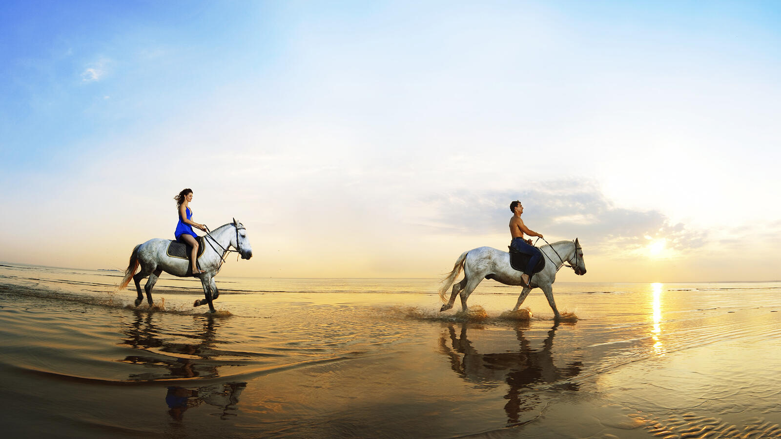 Wallpapers horses riders shore on the desktop