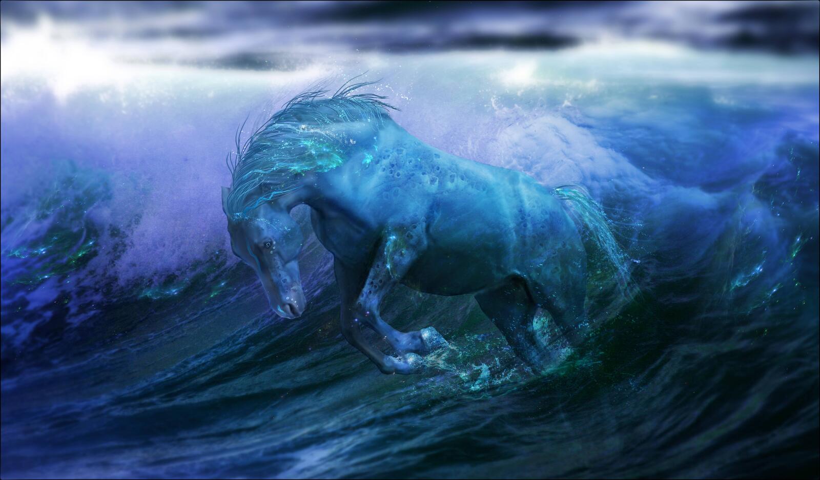 Wallpapers sea wave horse on the desktop