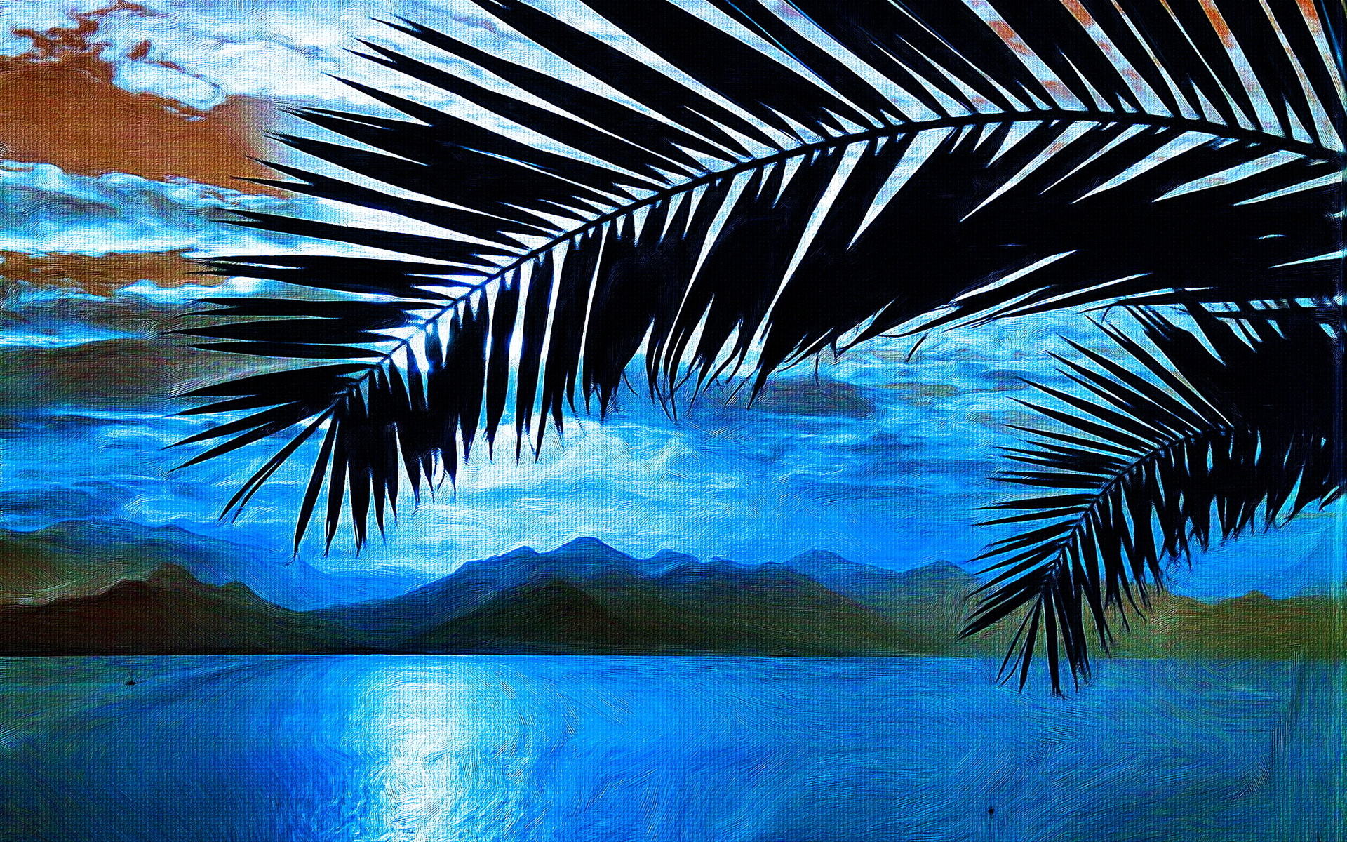 Wallpapers palm leaves picture on the desktop