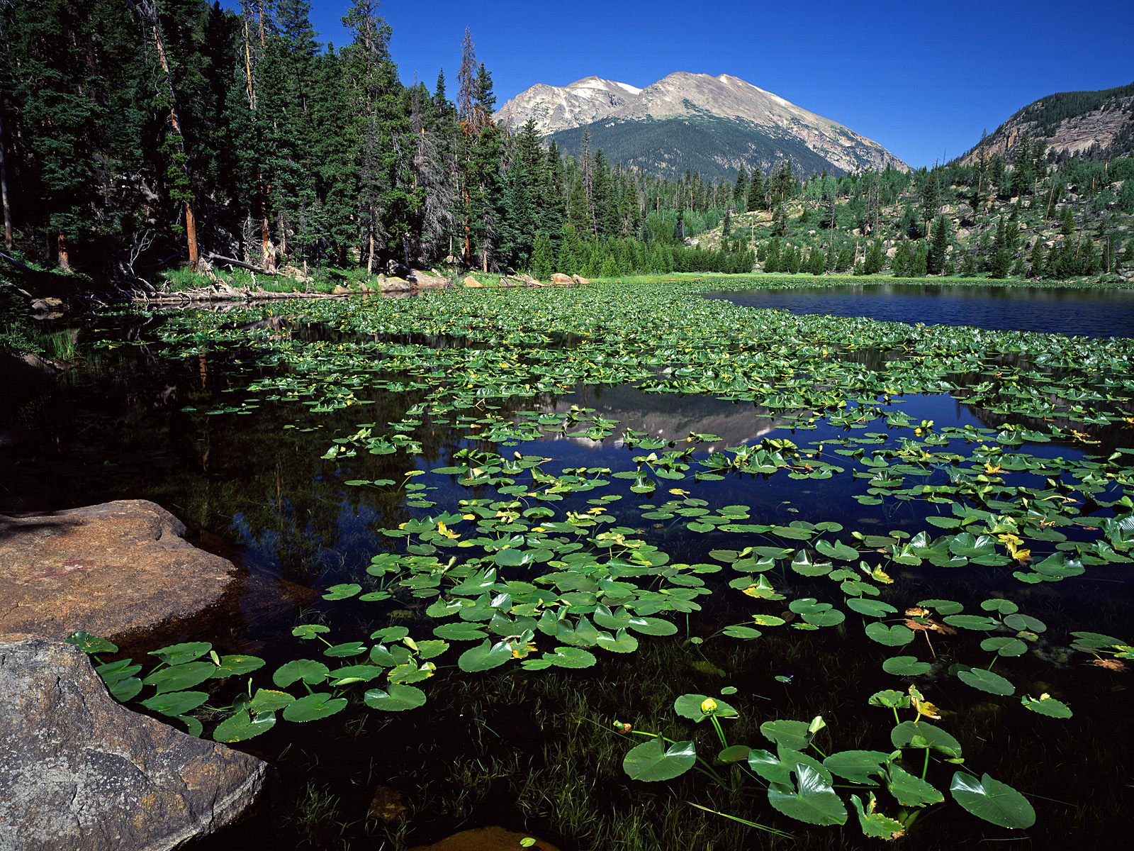 горы, озеро, растительность бесплатно