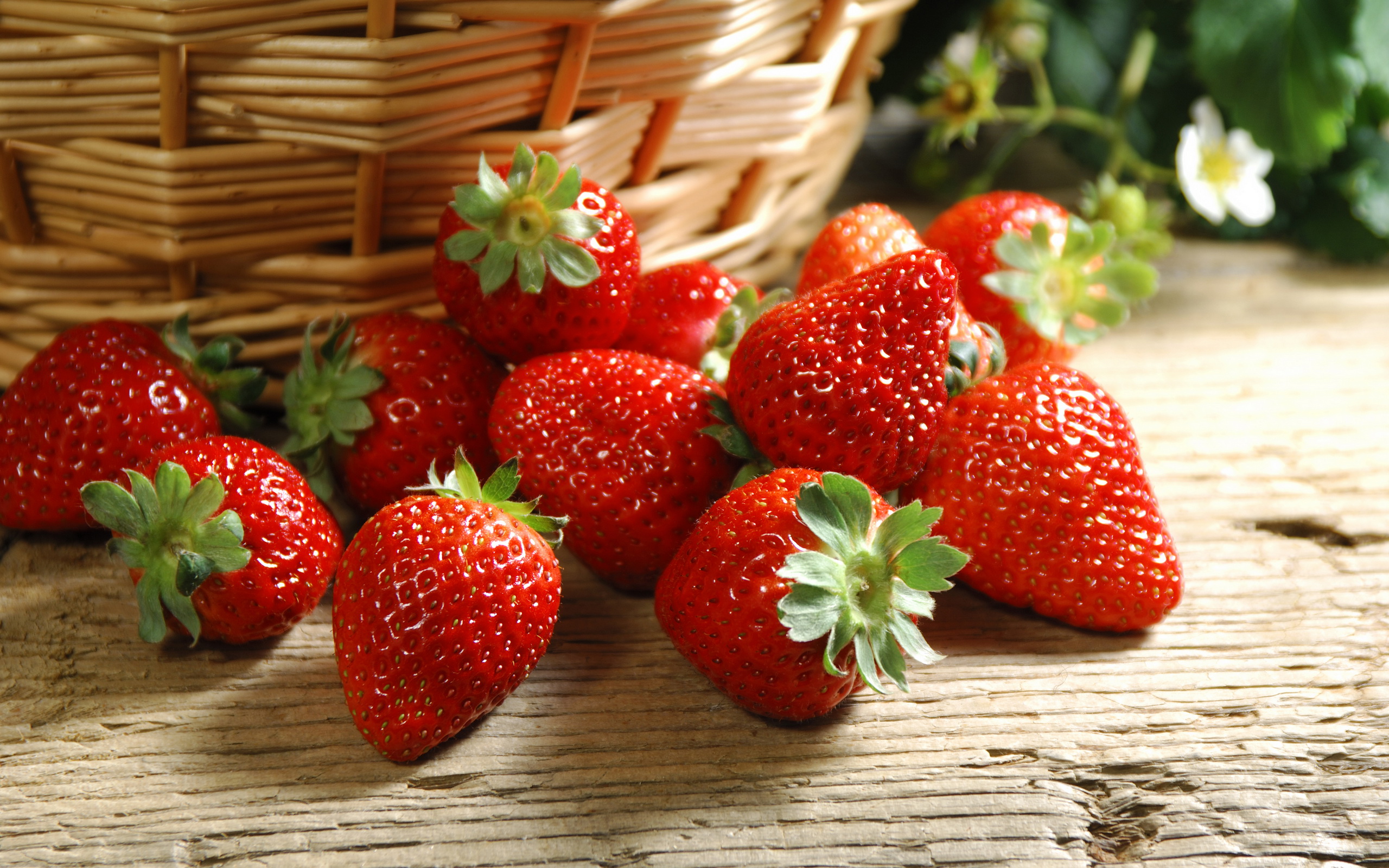 Wallpapers strawberry berry sweet on the desktop