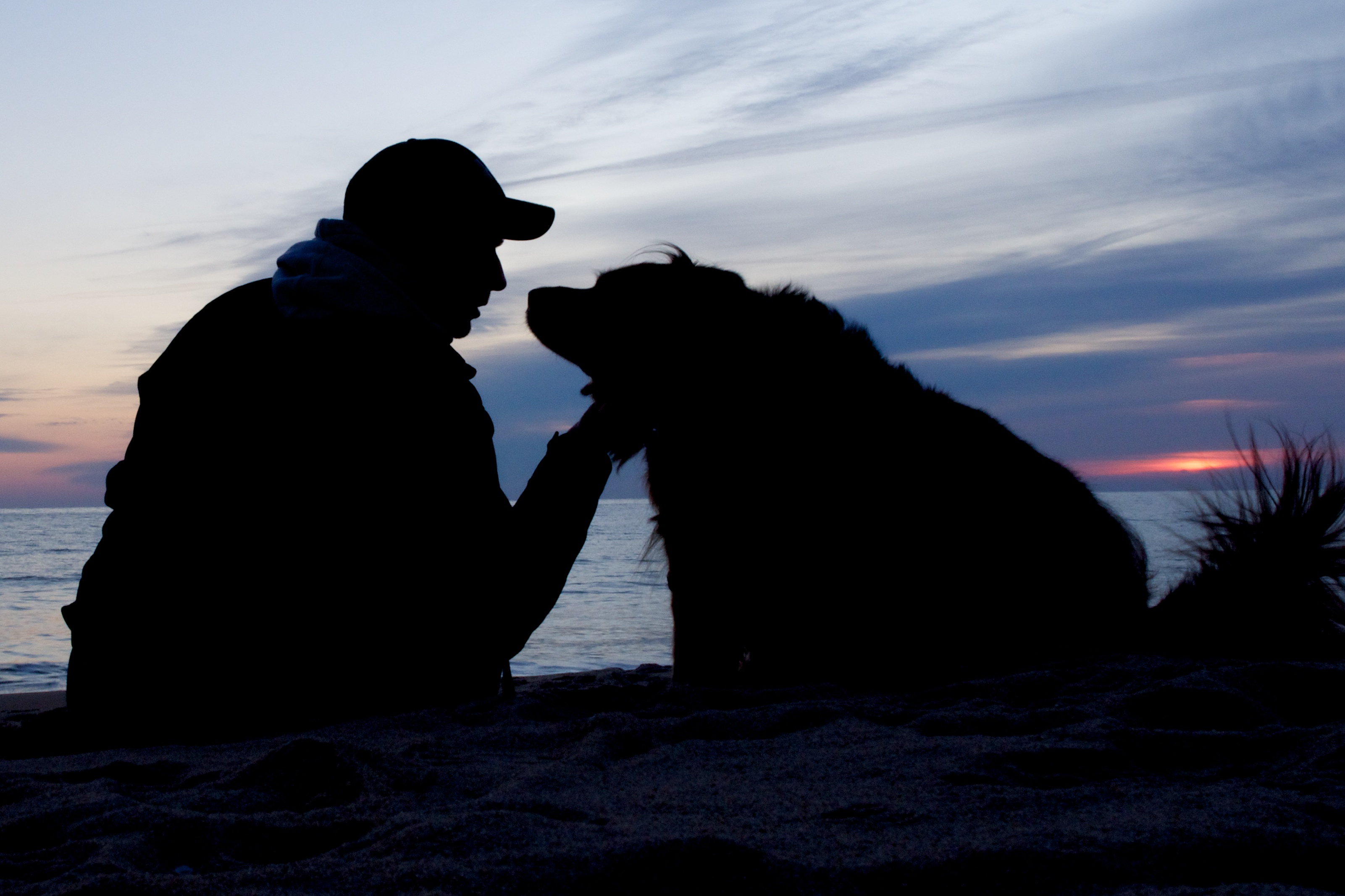 Собаки баб мужик. Человек с собакой на закате. Одинокий мужчина с собакой. Человек с собакой на море. Парень с собакой.