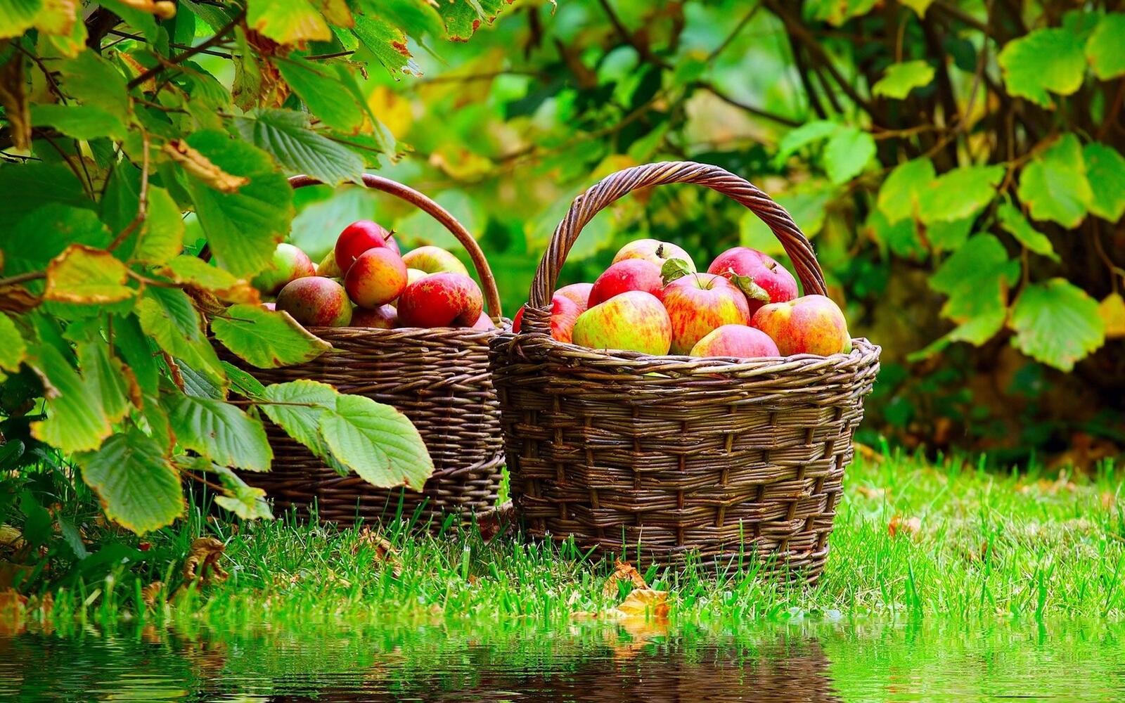 Обои яблоки урожай корзины на рабочий стол