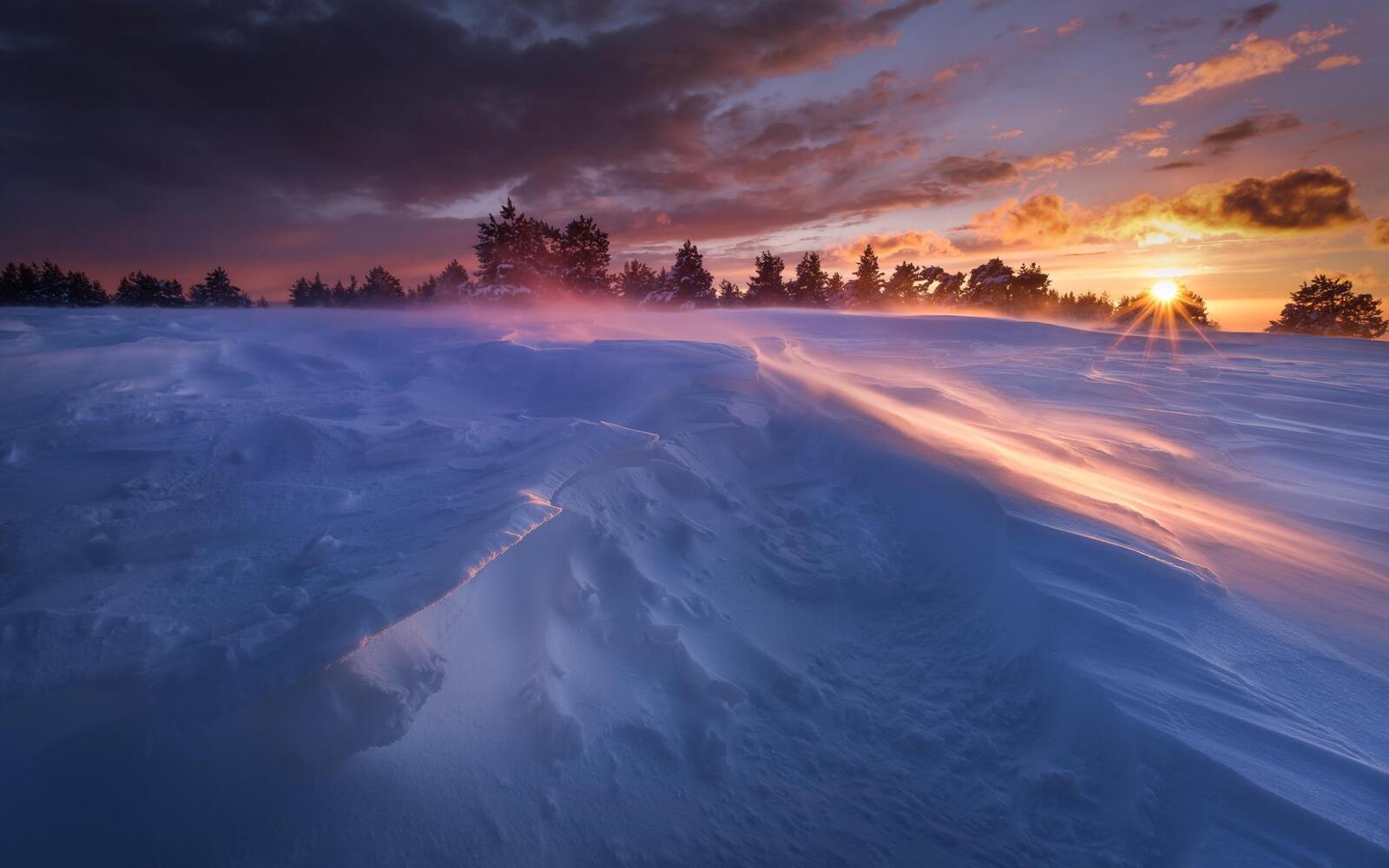 Wallpapers wind nature snowdrifts on the desktop