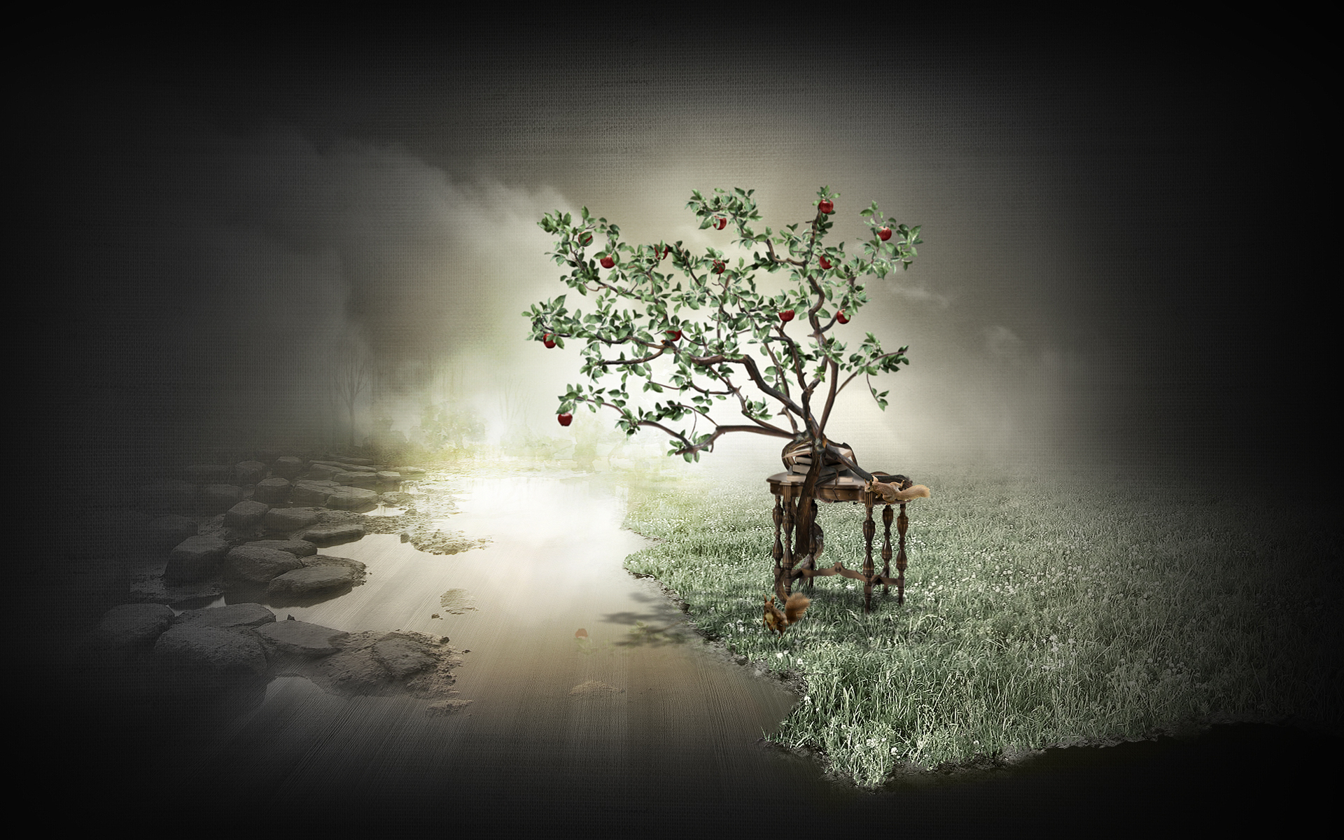 Фото бесплатно дерево, яблоки, белка