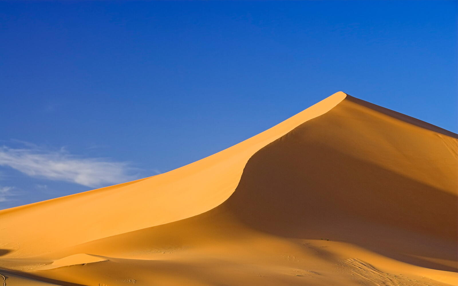 Wallpapers field sand dunes on the desktop