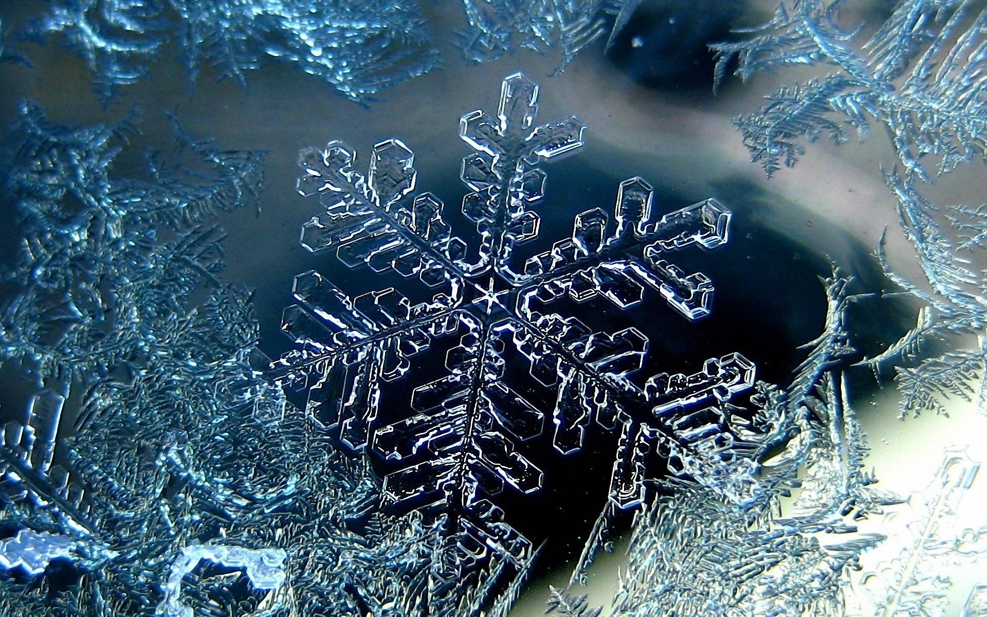 снежинка макро микроскоп скачать