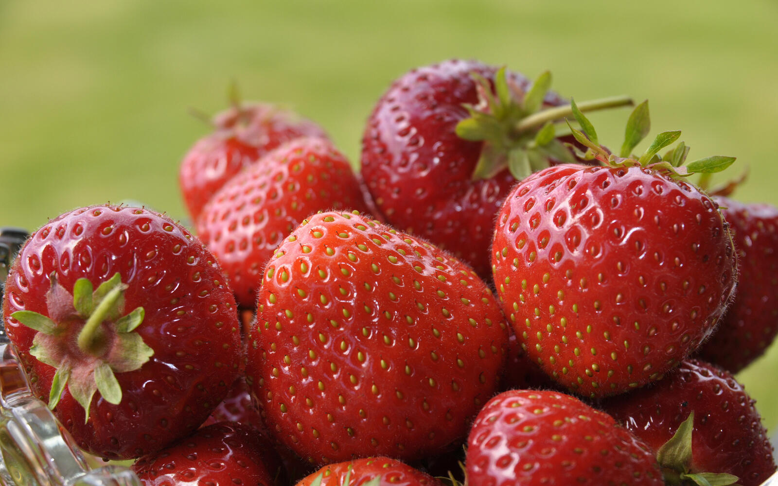 Wallpapers strawberry berry ripe on the desktop