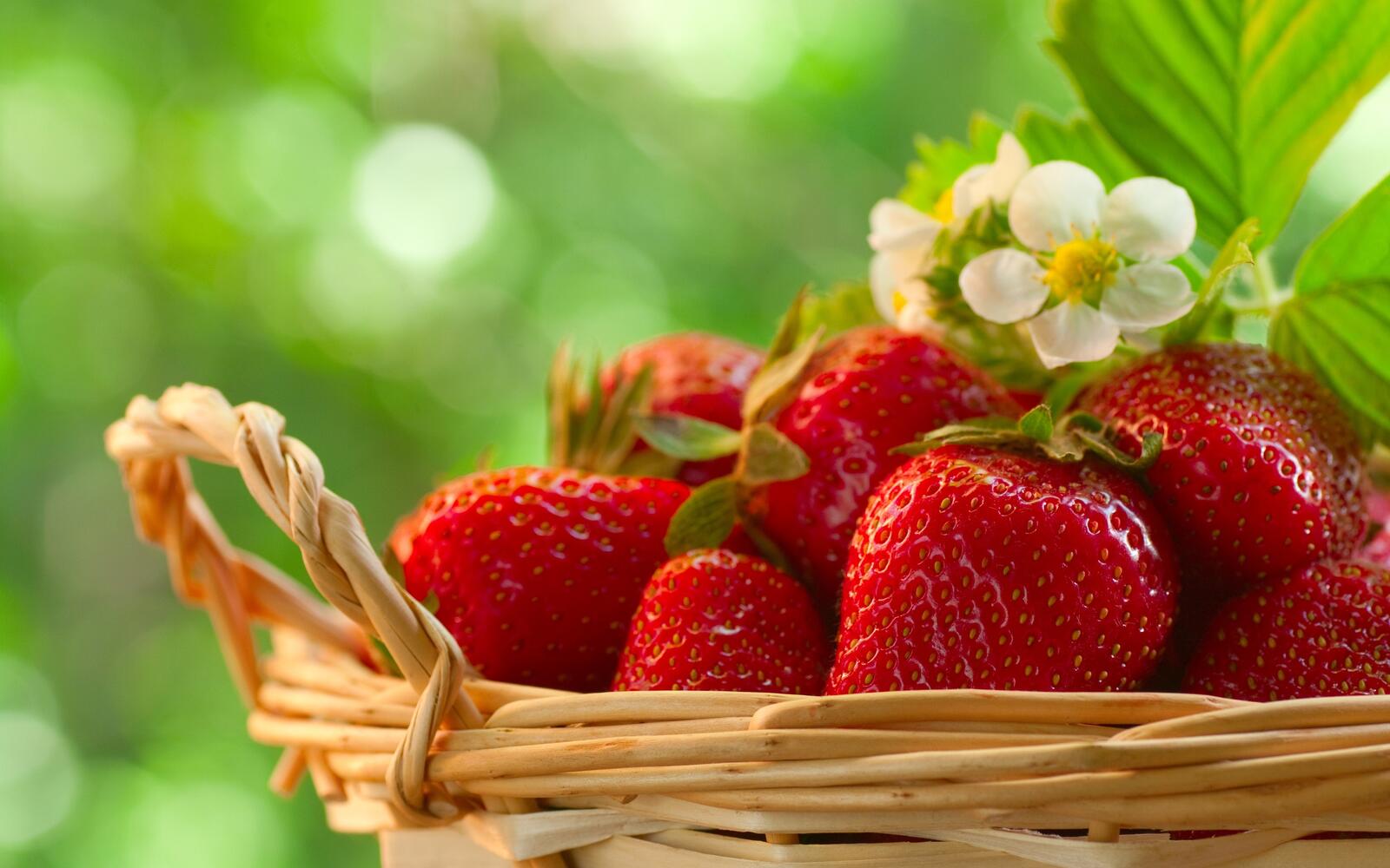 Free photo A basket of fresh strawberries