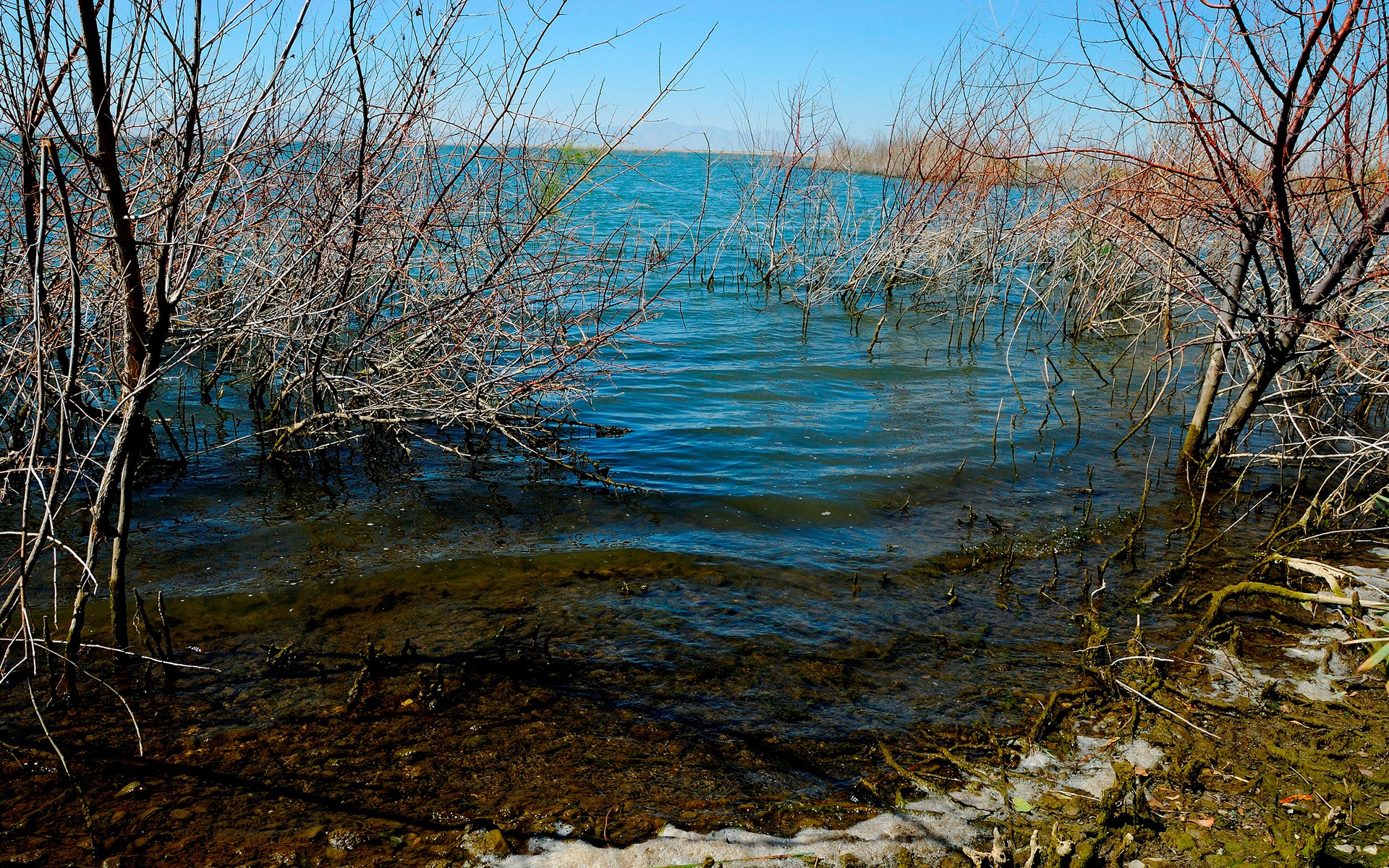Озера разлив реки. Апрель природа.