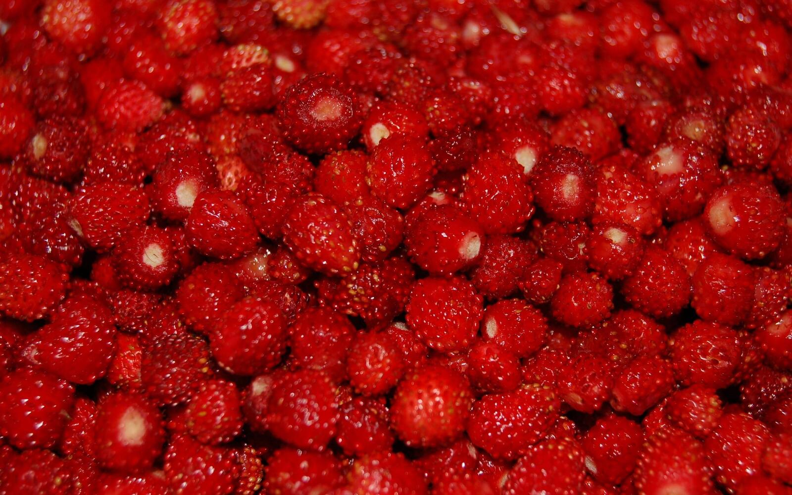 Wallpapers berry forest strawberry on the desktop