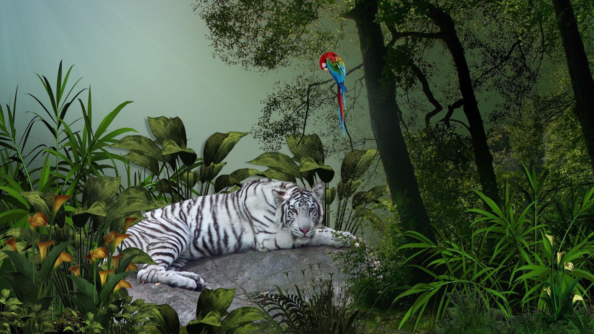 Wallpapers parrot bengali animals on the desktop