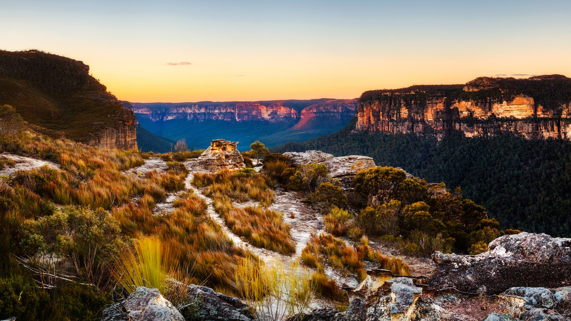 Национальный парк голубые горы Сидней