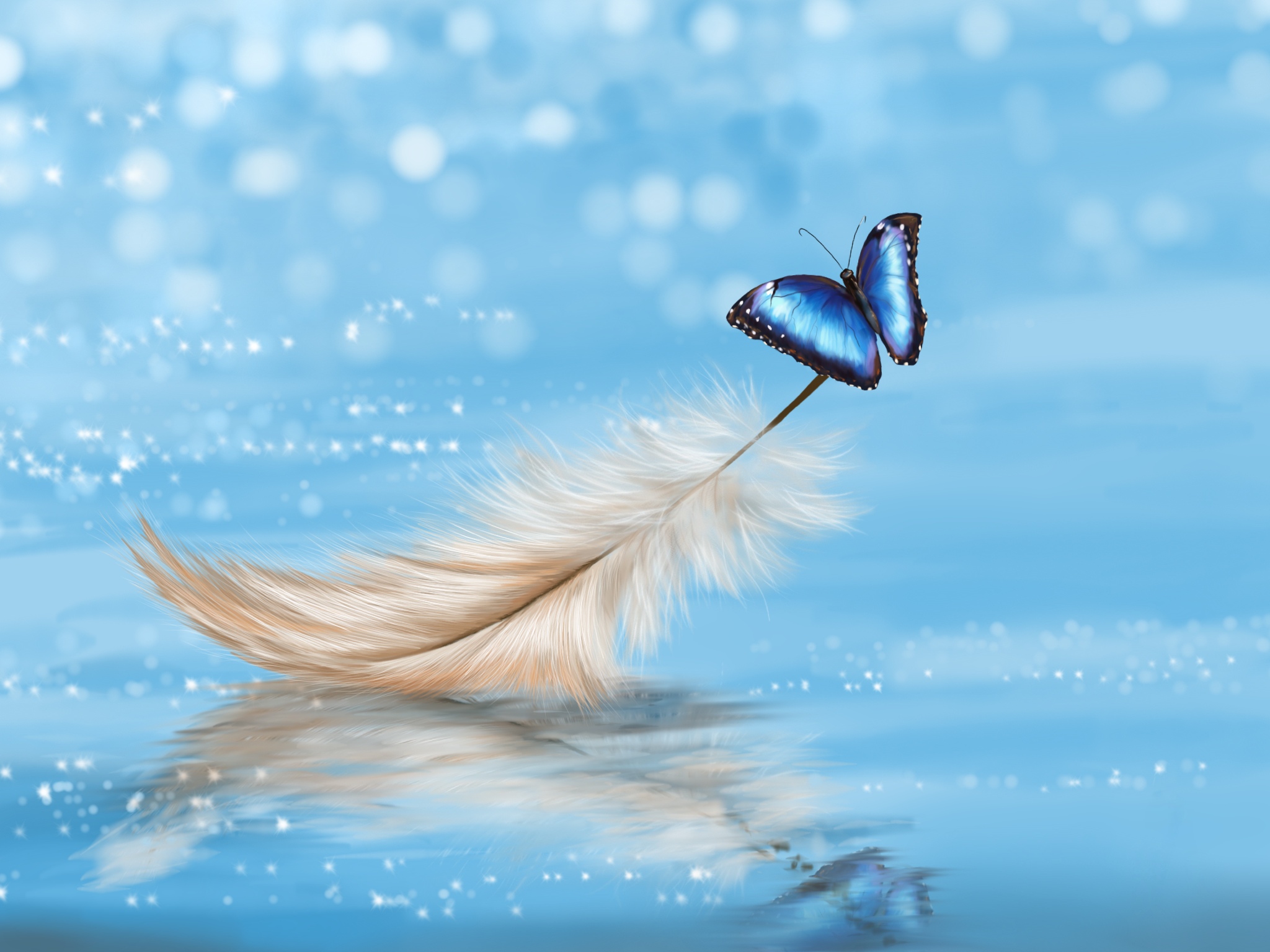 Фото бесплатно перышко, бабочка, голубая
