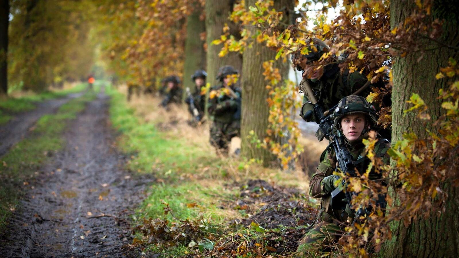 Wallpapers soldiers forest trees on the desktop
