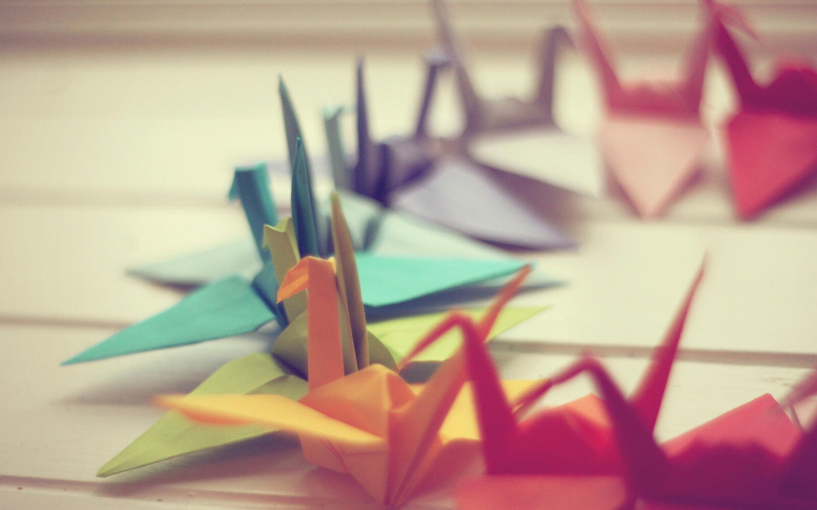 Wallpapers paper birds origami on the desktop
