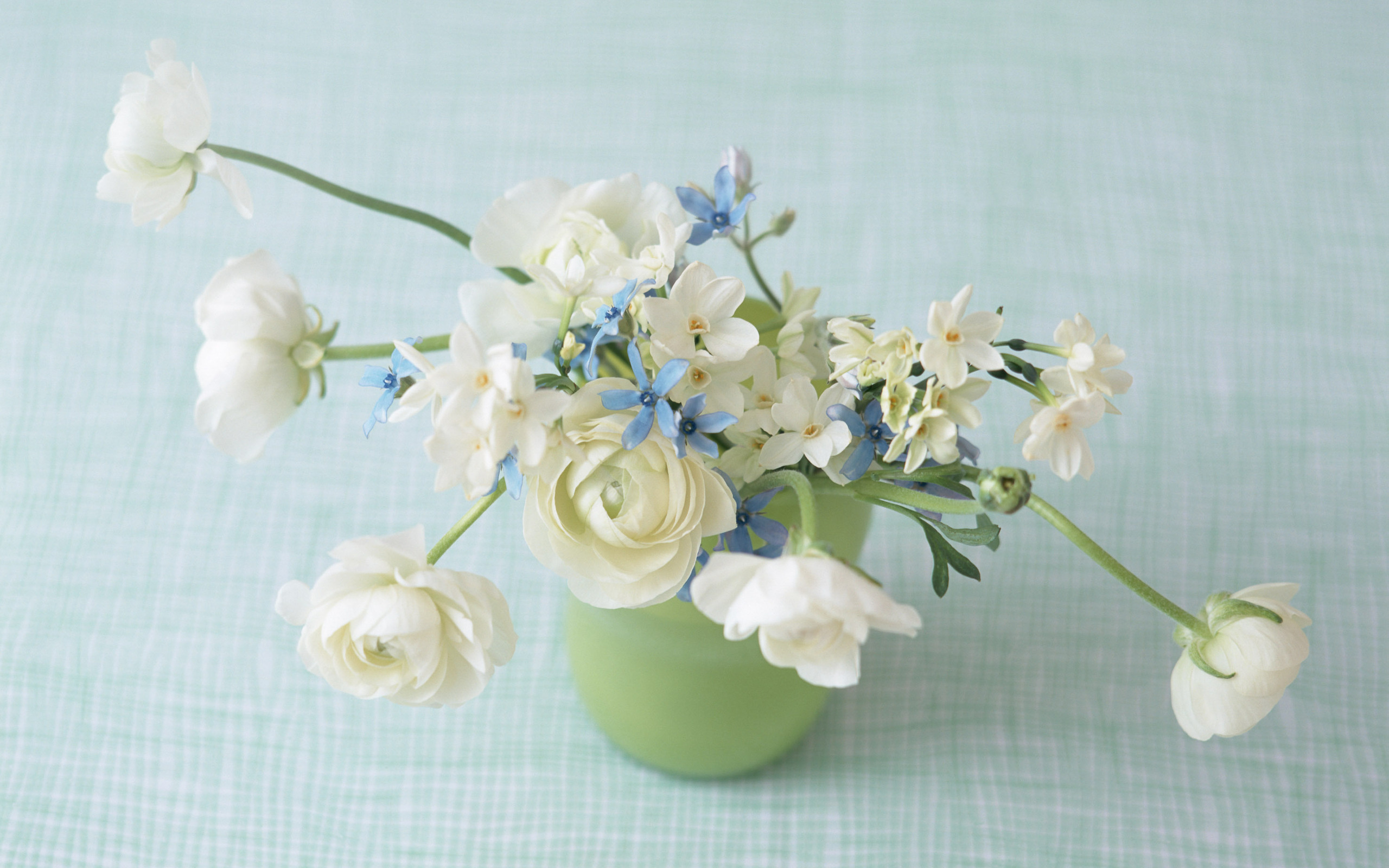 Обои цветы нежная композиция цветы в вазе на рабочий стол