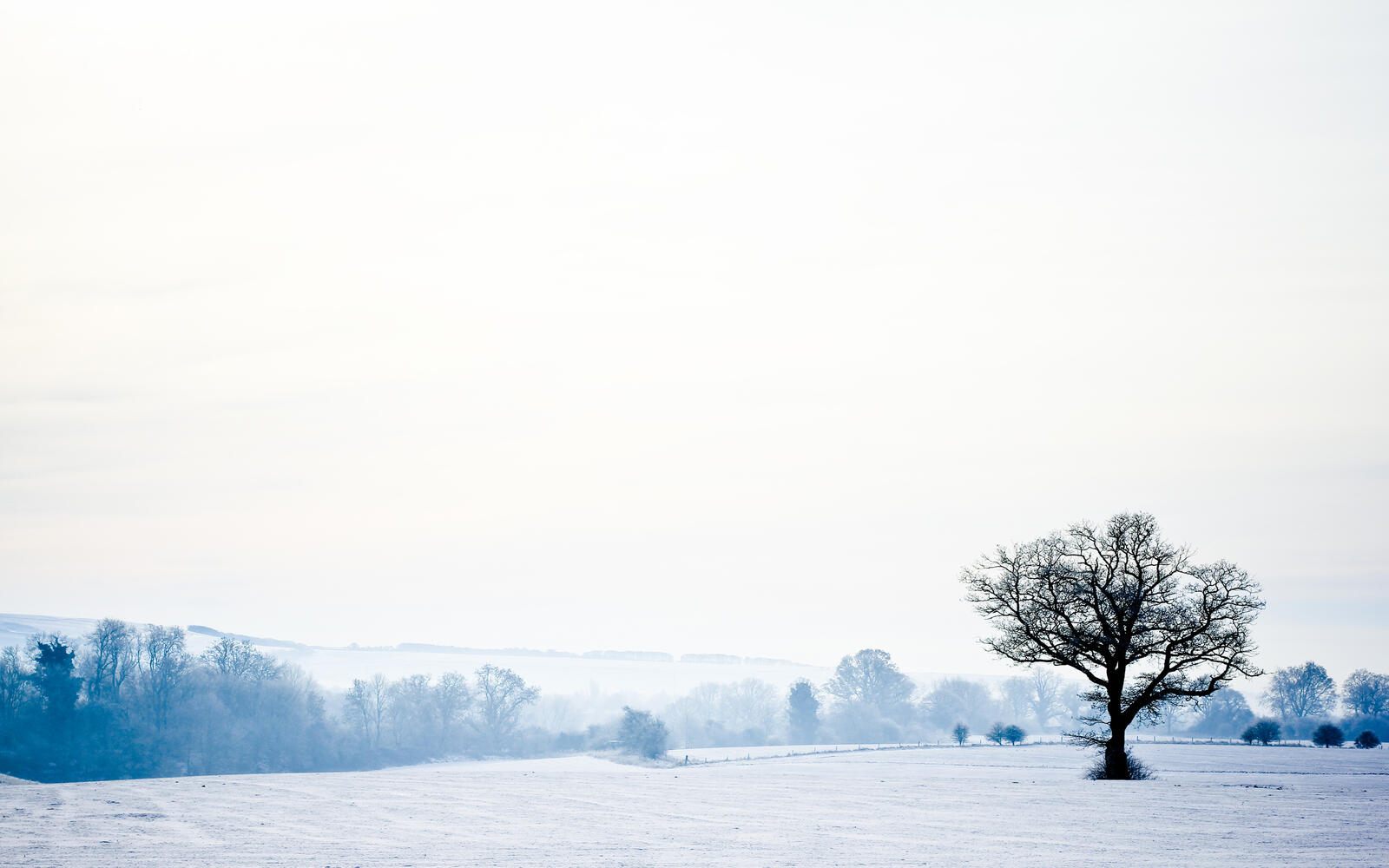 Обои зима деревья небо на рабочий стол