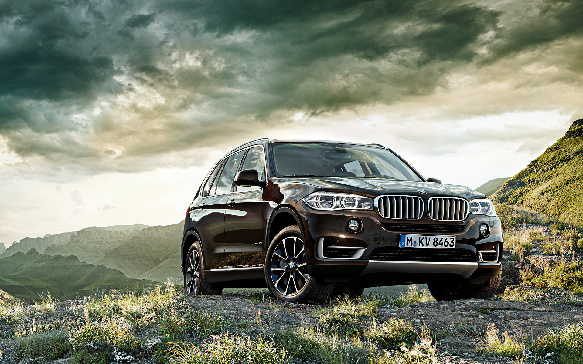 Wallpapers bmw SUV grille on the desktop