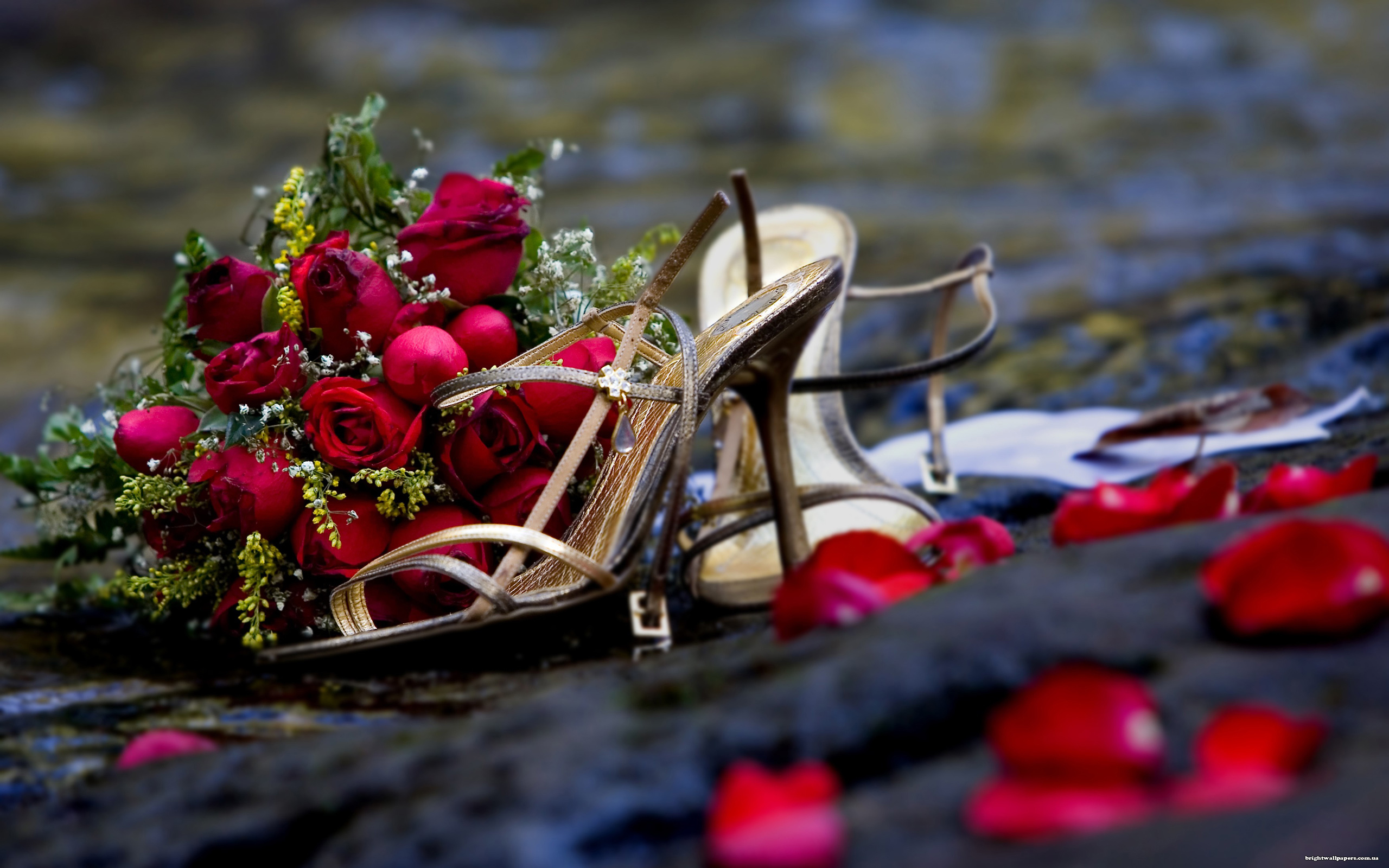 桌面上的壁纸鞋子 脚跟 玫瑰