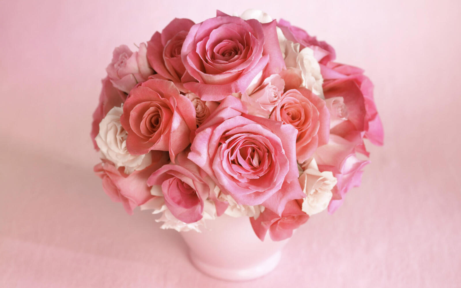 桌面上的壁纸玫瑰花束 玫瑰 粉红色