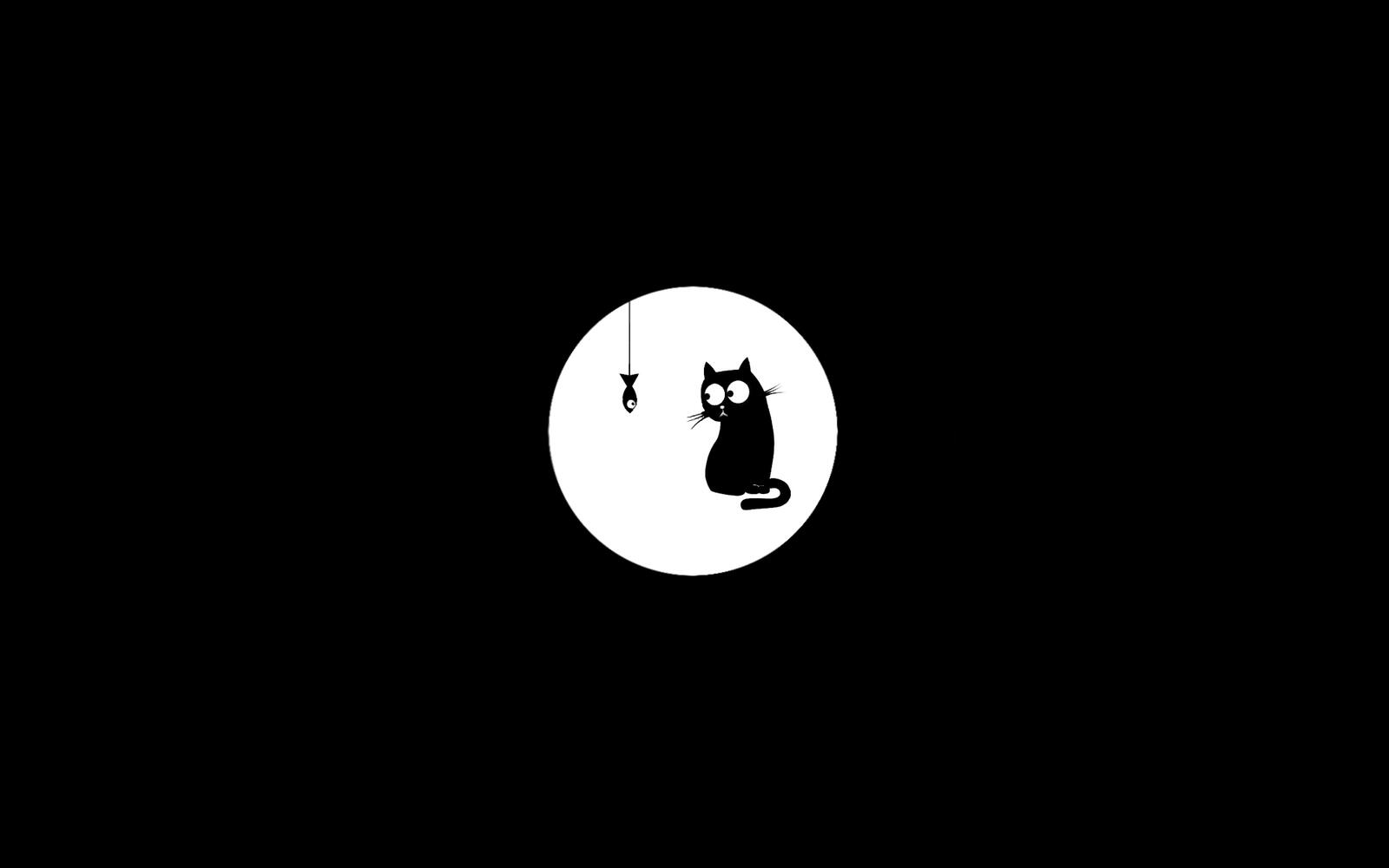 Wallpapers black and white black cat cat on the desktop