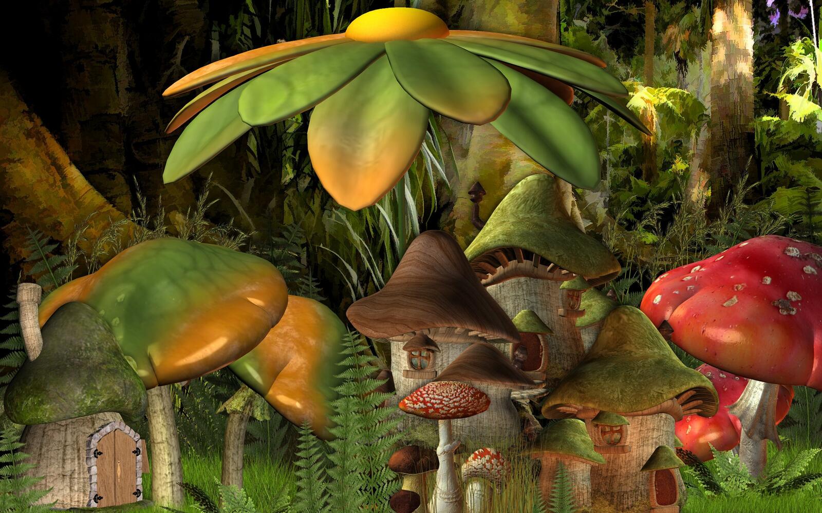 Wallpapers mushrooms forest hats on the desktop