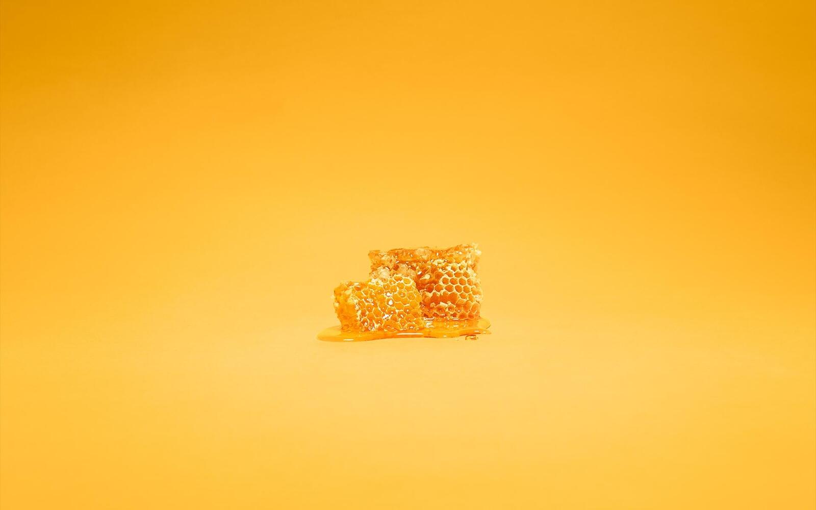 Wallpapers bees honeycombs wax on the desktop