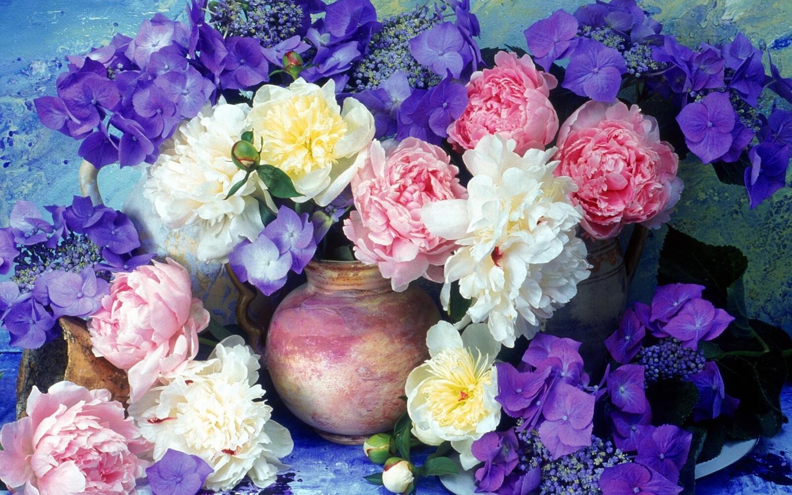 Wallpapers peonies vase flowers on the desktop