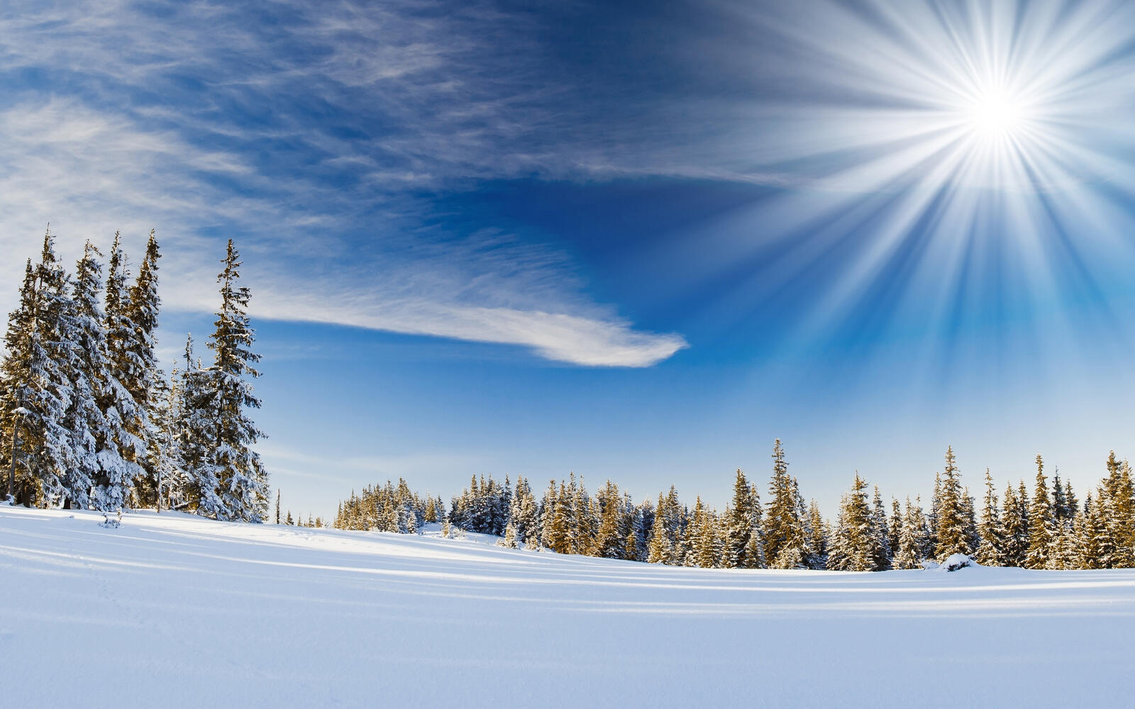 Wallpapers snow rays winter on the desktop