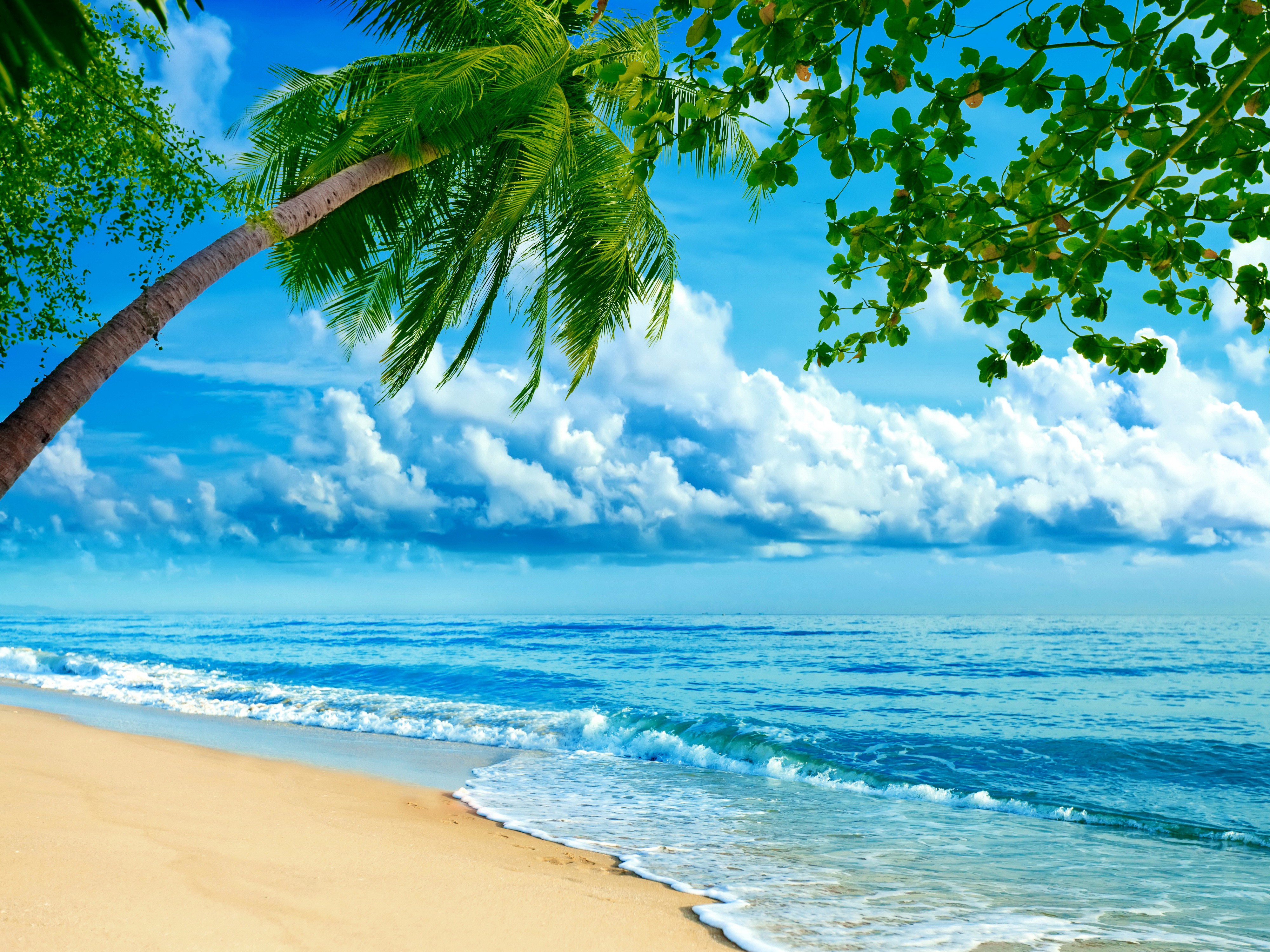 Фото пляж, пальмы в хорошем качестве