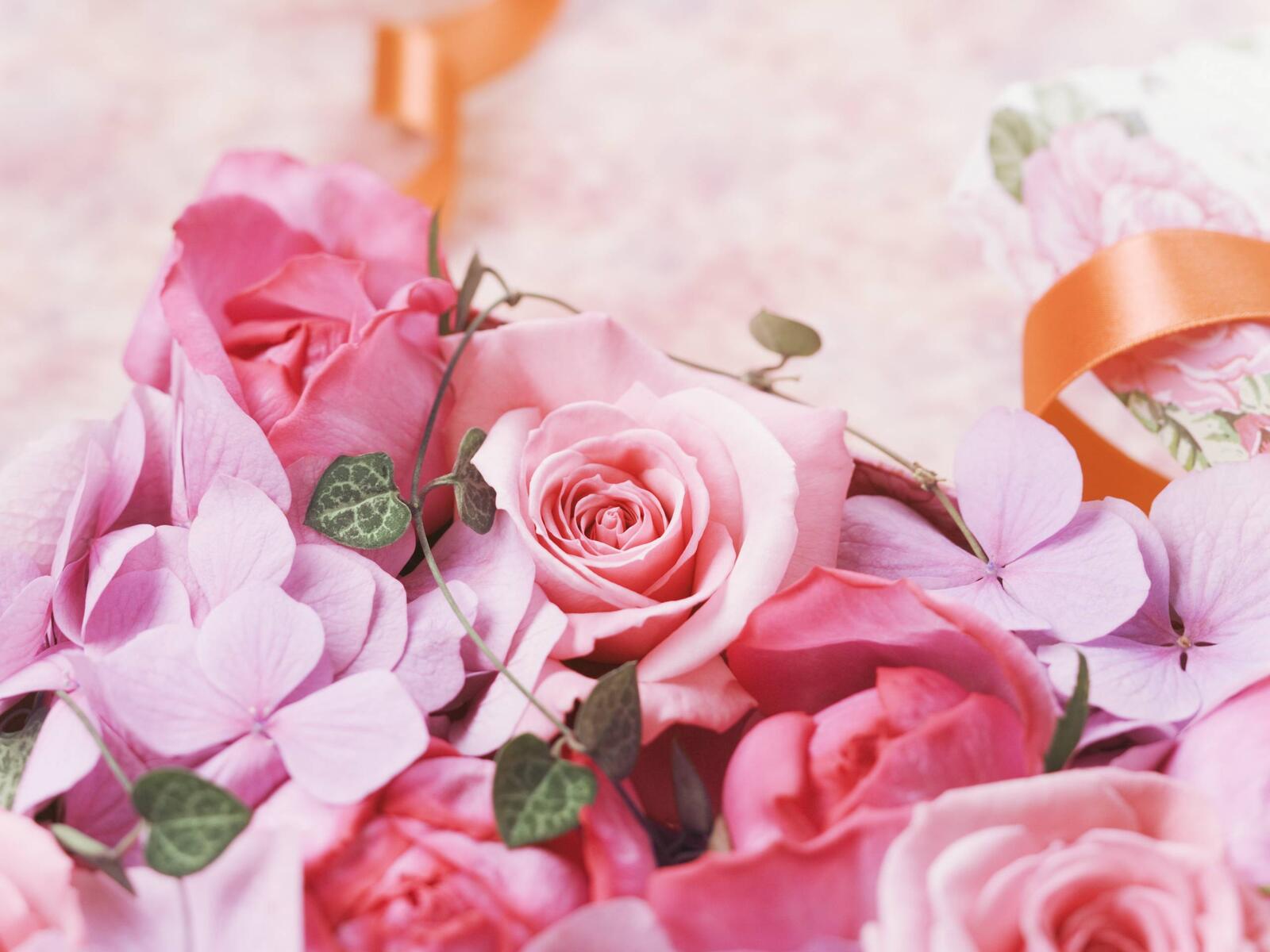 Wallpapers roses bouquet ribbon on the desktop