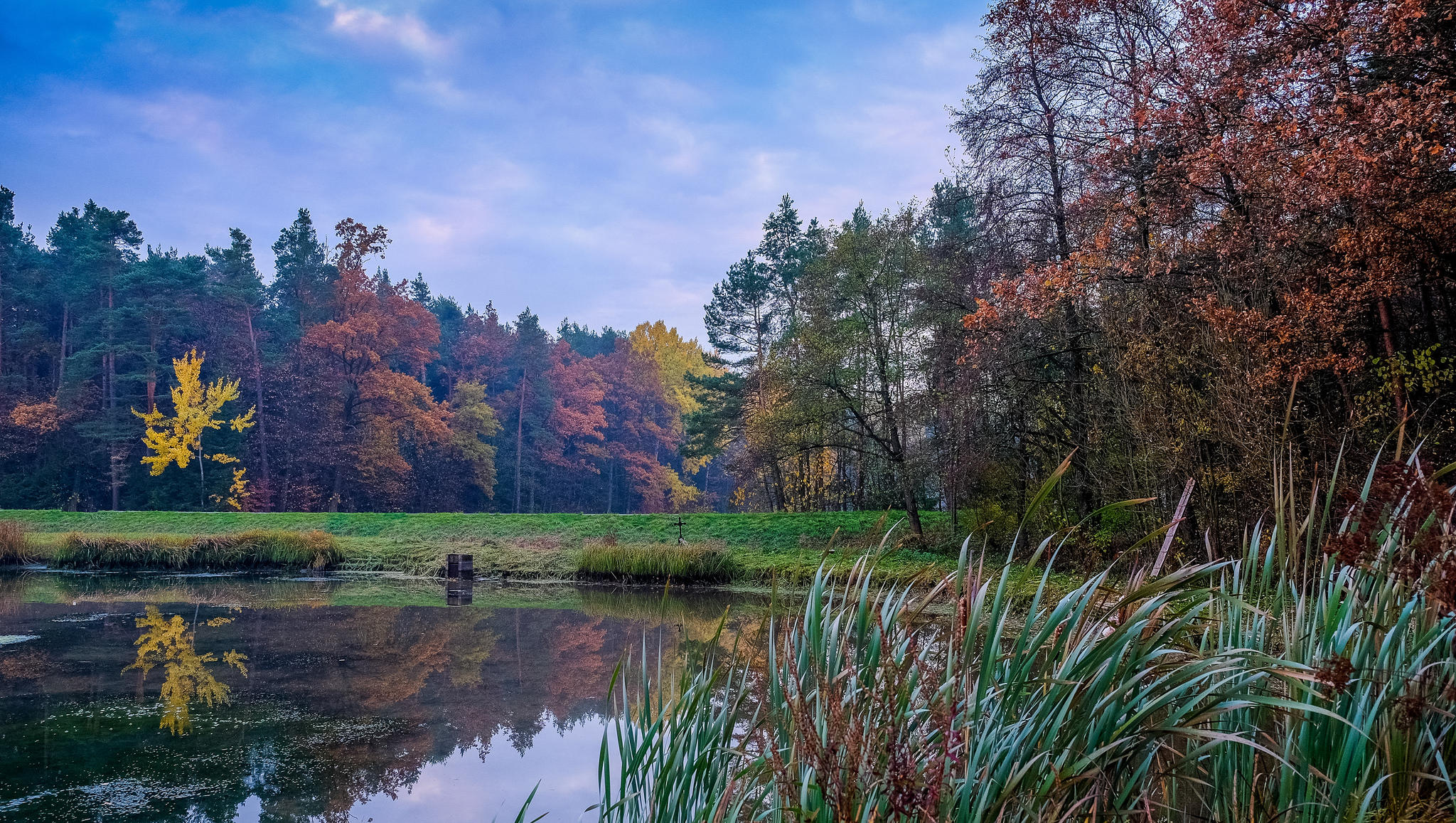 Photo free lake, lake in the forest, landscape