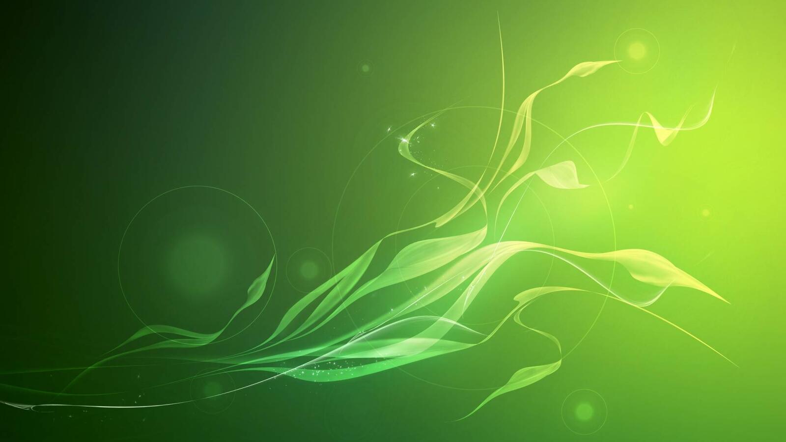 Wallpapers abstraction lines green on the desktop