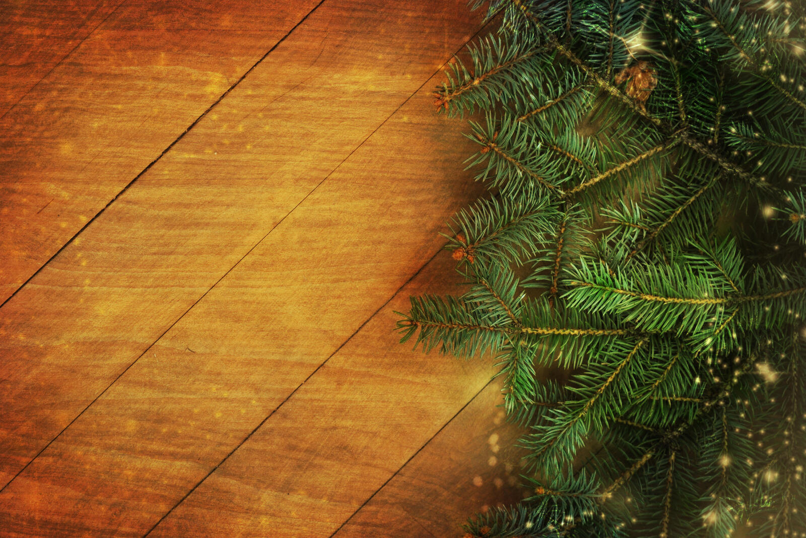 Wallpapers Christmas fir branches new year on the desktop