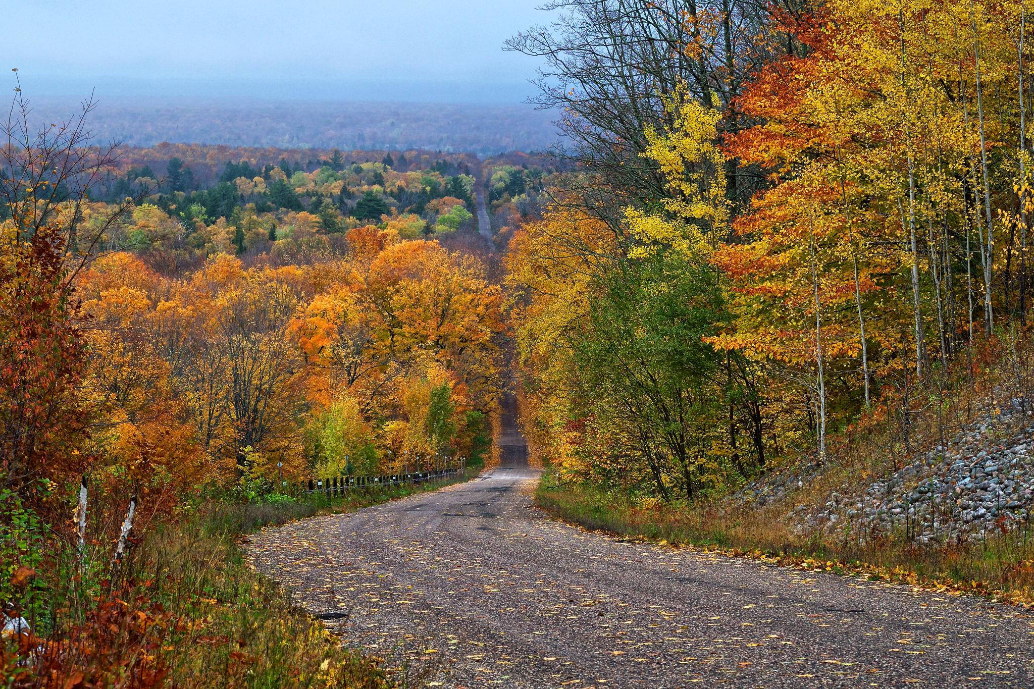 Wallpapers autumn forest dirt road on the desktop