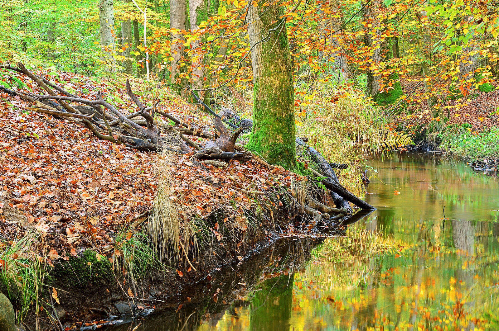 Wallpapers nature river autumn on the desktop