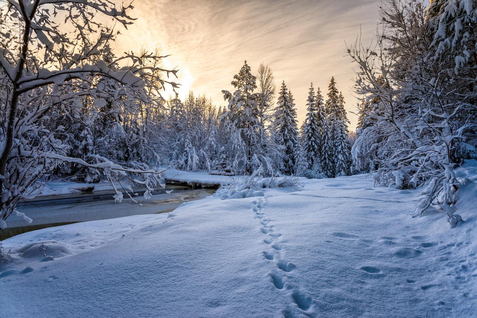 Бесплатное фото Снежные берега у реки на закате