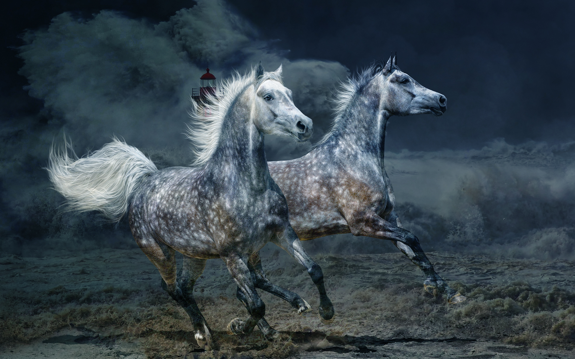 Wallpapers storm horses and horses animals on the desktop