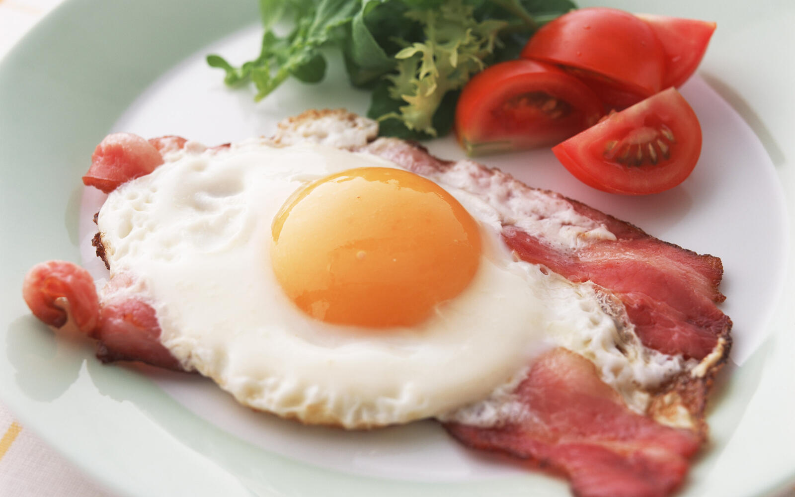 Wallpapers fried eggs bacon tomato on the desktop