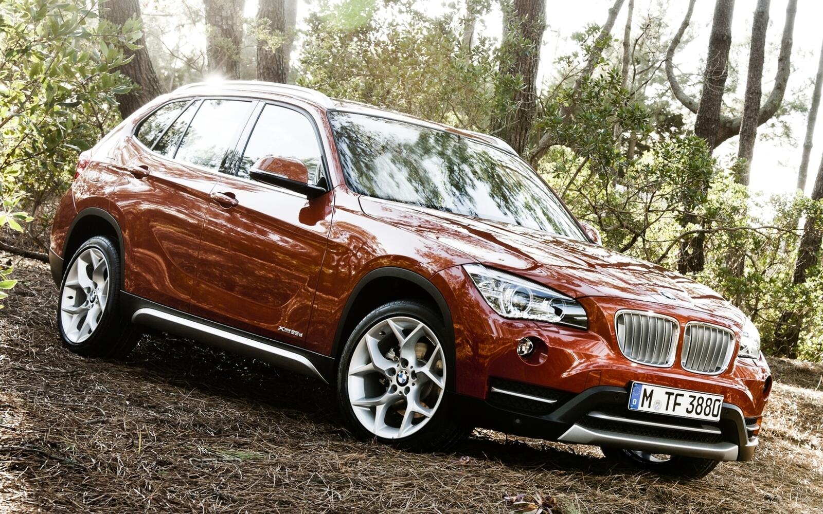 Wallpapers bmw jeep brown on the desktop