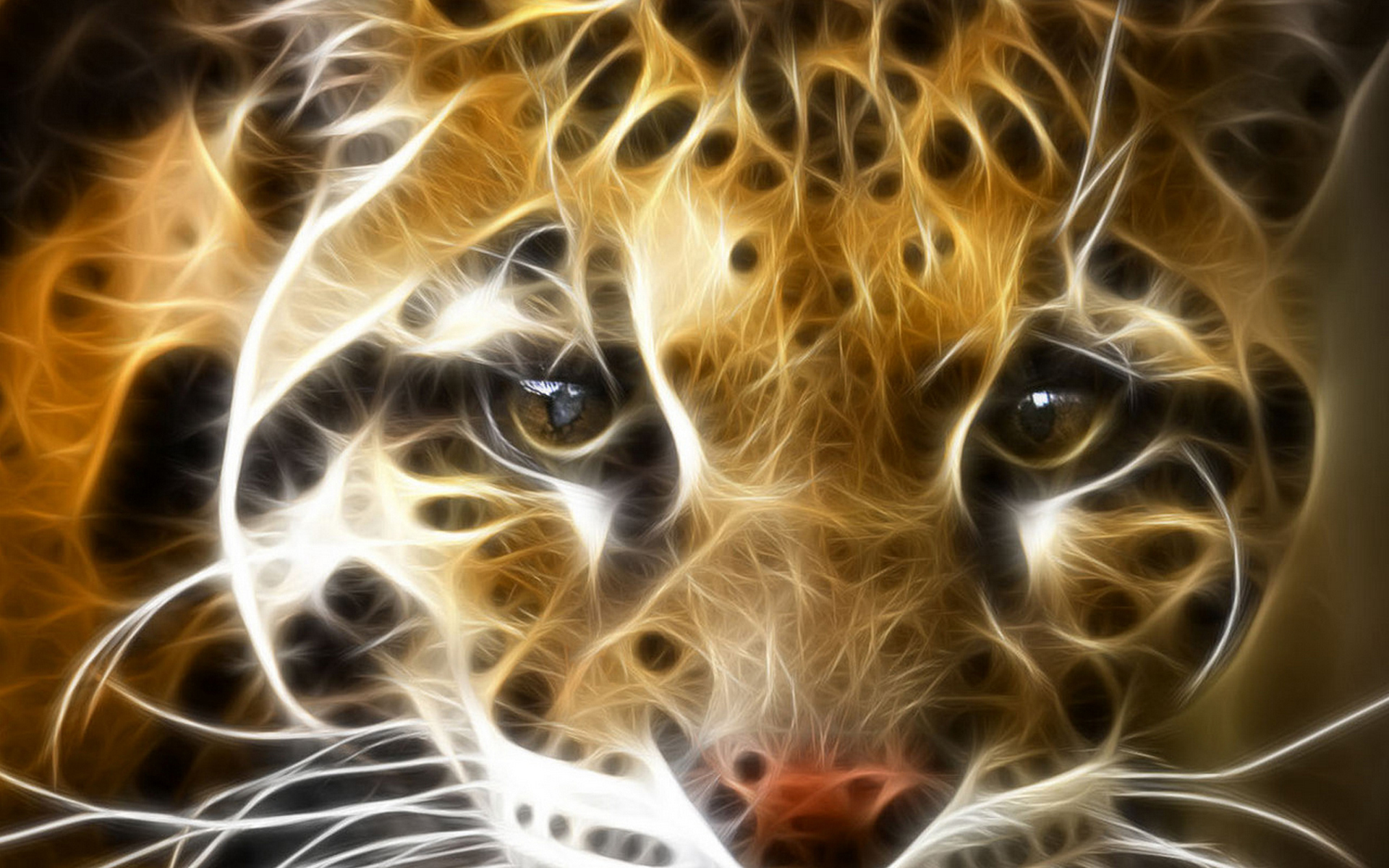 Wallpapers cheetah eyes face on the desktop