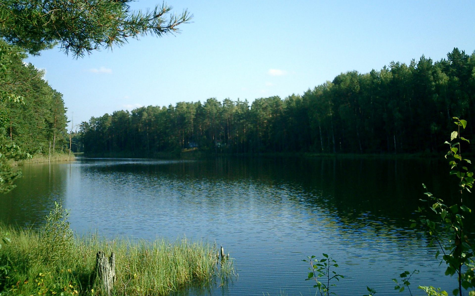 На горизонтальном водоемы. Озеро рай Смоленск. Голубое озеро Смоленск. Рубское озеро. Река Озерна.