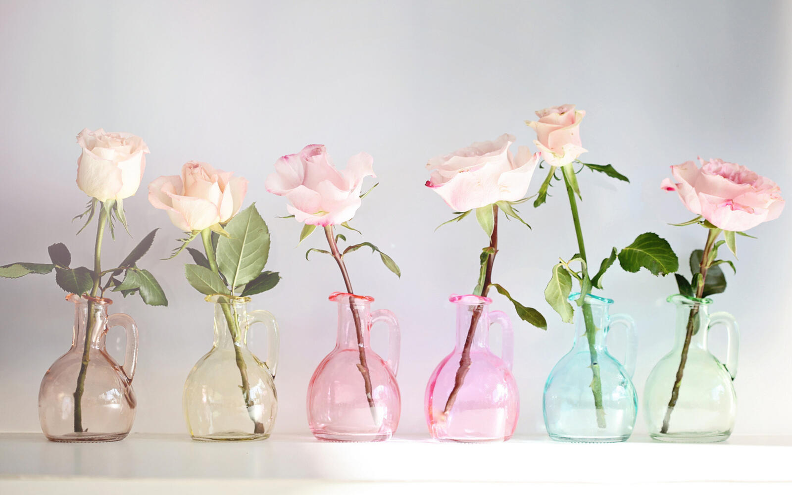 Wallpapers roses decanters vases on the desktop