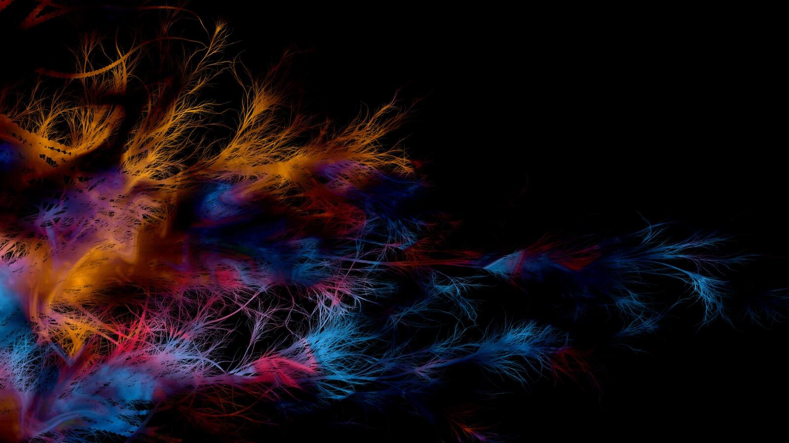Wallpapers dark bright feathers on the desktop